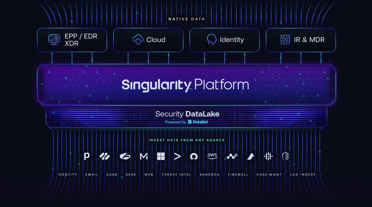 Singularity Platform 이미지